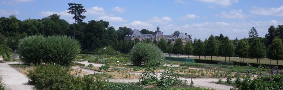 Le potager