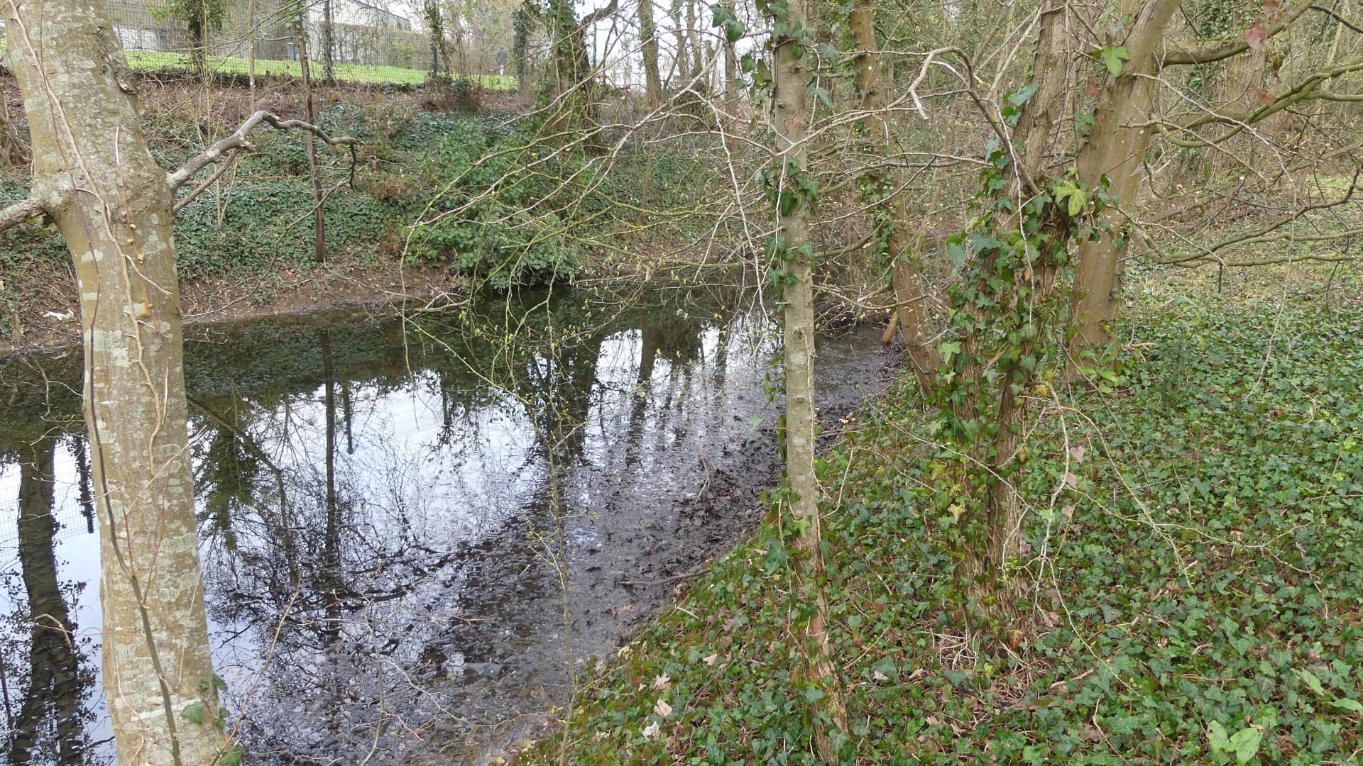 Anciennes douves du château en eau