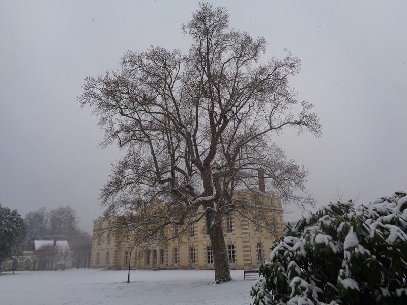 Sous la neige