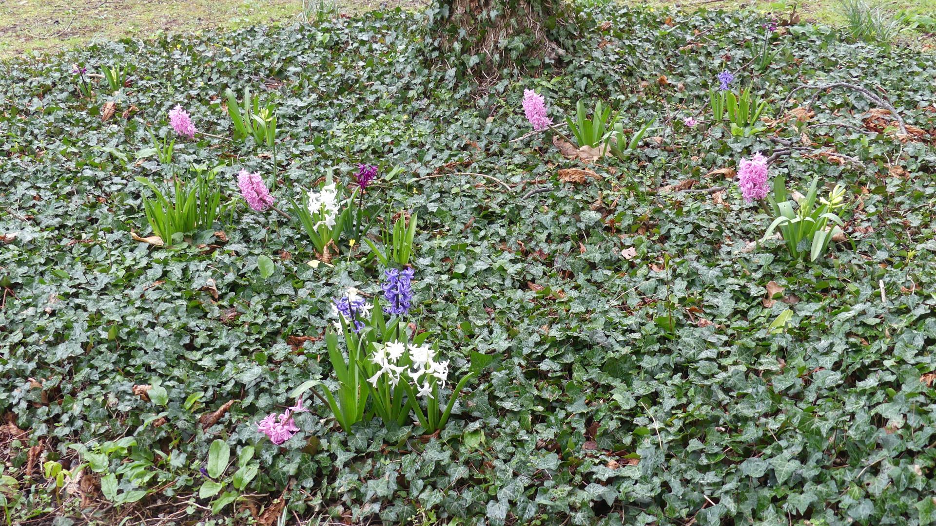 C'est le printemps !