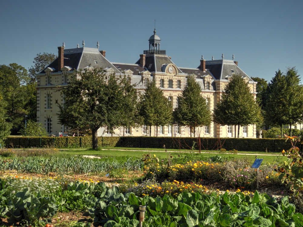 Le potager avec en fond le chateau